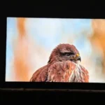 Müşteri yorum fotoğrafı