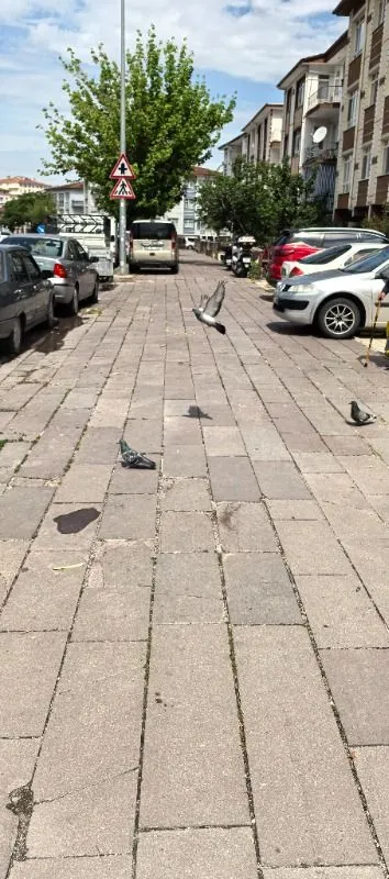 Müşteri paylaşımı