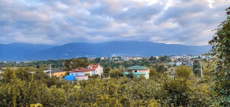 Müşteri paylaşımı