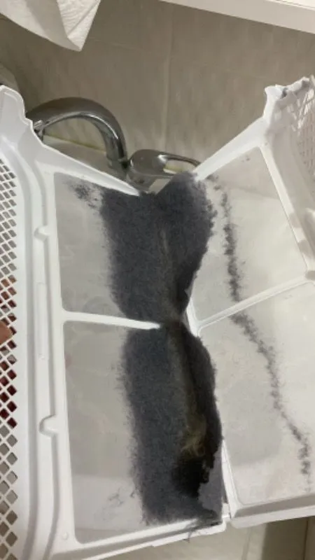 Müşteri paylaşımı