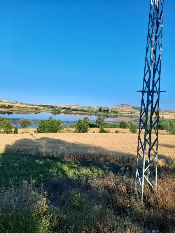 Müşteri paylaşımı