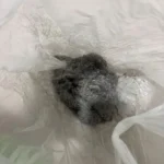 Yorum görseli