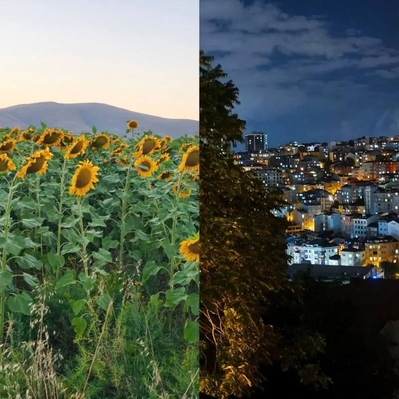 Müşteri paylaşımı