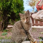 Müşteri yorum fotoğrafı