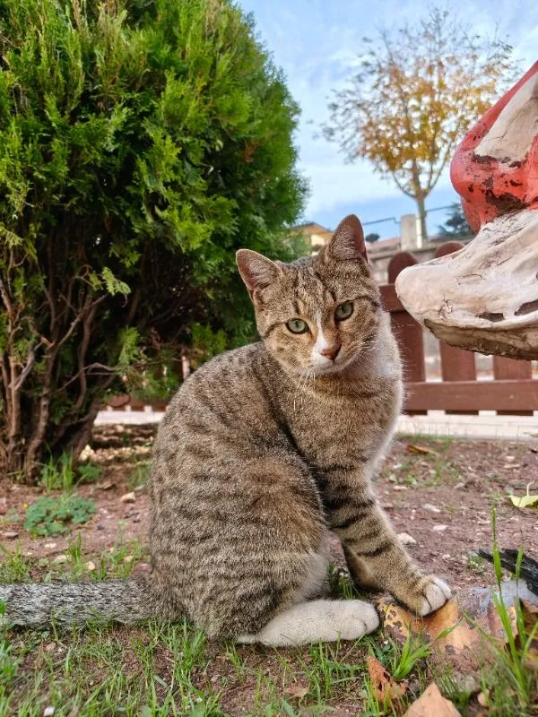 Müşteri paylaşımı