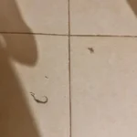 Müşteri yorum fotoğrafı