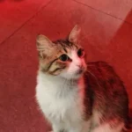 Müşteri yorum fotoğrafı