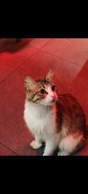 Müşteri paylaşımı