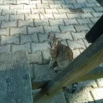 Müşteri yorum fotoğrafı