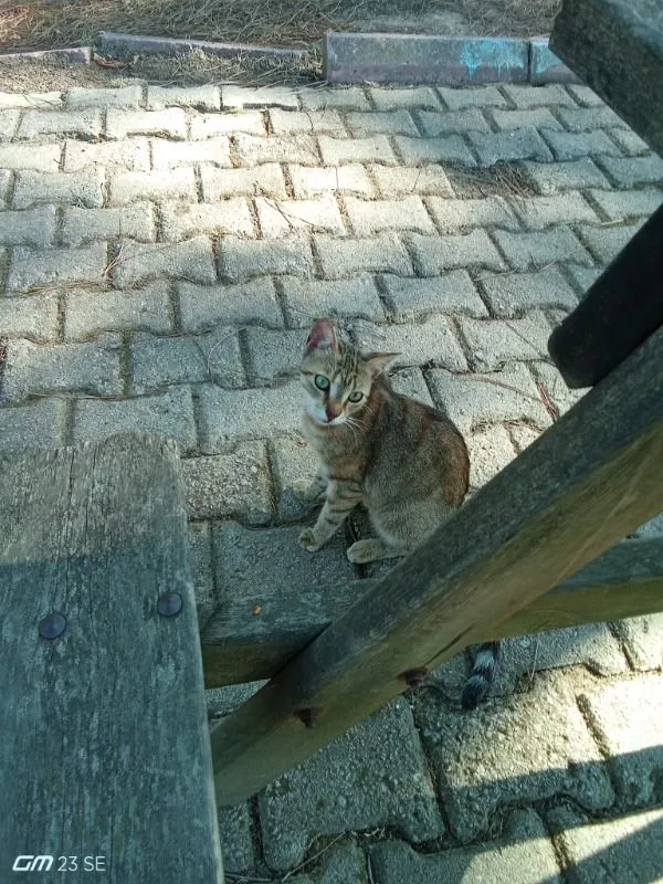 Müşteri paylaşımı