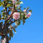 Müşteri yorum fotoğrafı