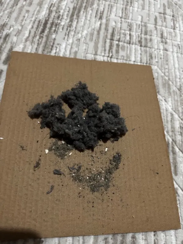 Müşteri paylaşımı