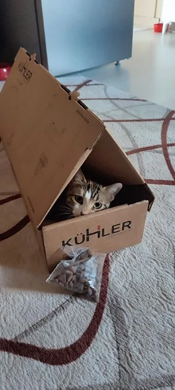 Müşteri paylaşımı