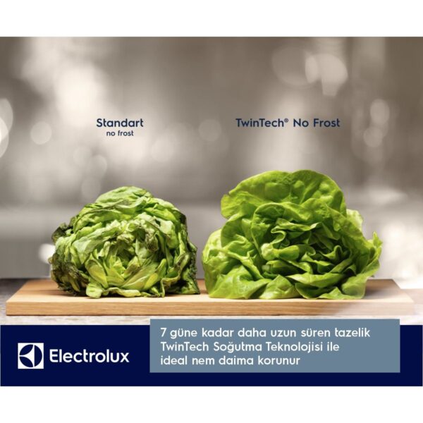 Electrolux LNT7MD58X Twintech No-Frost 588 Lt 84 cm Alttan Donduruculu Buzdolabı D Enerji Sınıfı Inox
