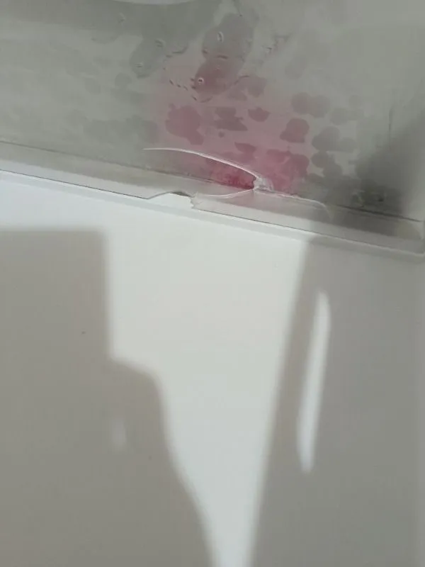 Müşteri paylaşımı