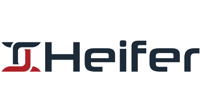 Heifer