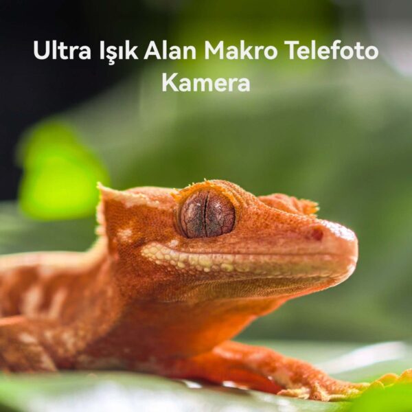Huawei Pura 80 Pro