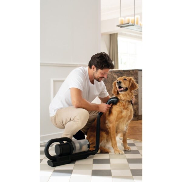 Nilfisk S1 Pet Care Hepa 14 Filtreli Dikey Şarjlı Süpürge